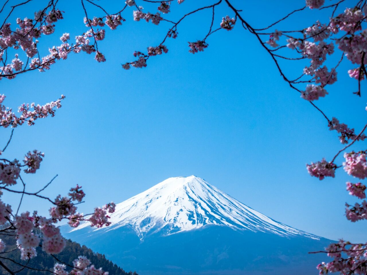 Mt. Fuji, Japan